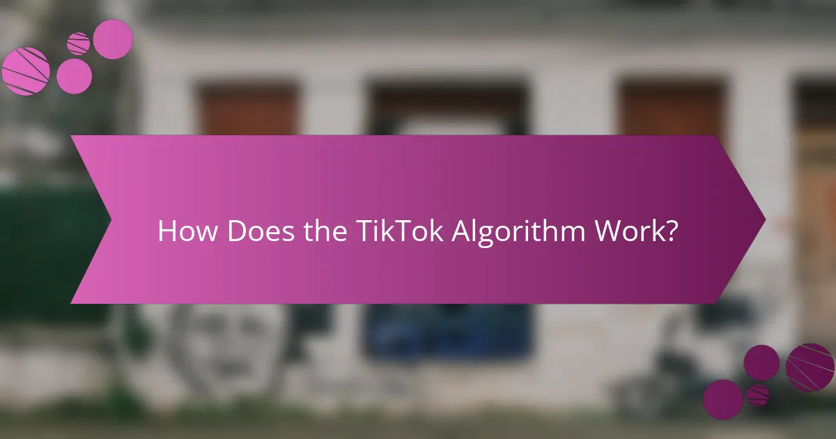 How Does the TikTok Algorithm Work?