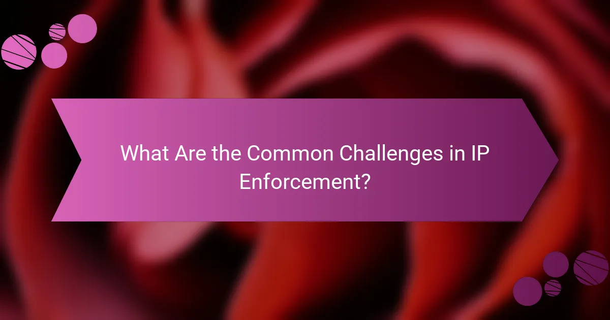 What Are the Common Challenges in IP Enforcement?